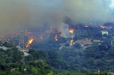 Orman ve köy yanan orman yangını