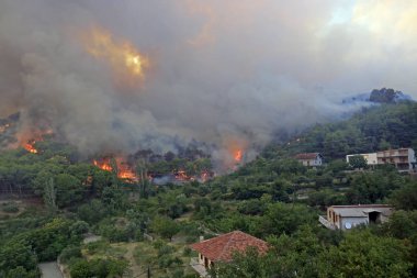 Orman ve köy yanan orman yangını