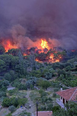 Orman ve köy yanan orman yangını