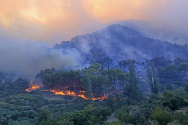 Orman ve köy yanan orman yangını