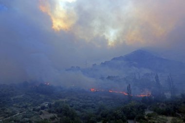 Orman ve köy yanan orman yangını