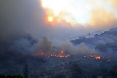 Orman ve köy yanan orman yangını