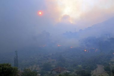 Orman ve köy yanan orman yangını