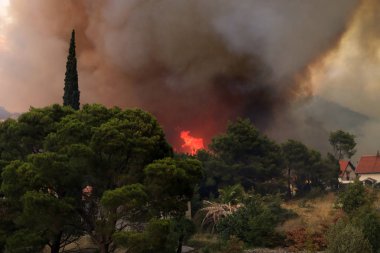 Orman ve köy yanan orman yangını