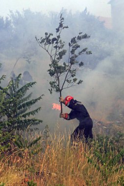 İtfaiyeciler orman yangını ile mücadele