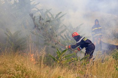 İtfaiyeciler orman yangını ile mücadele
