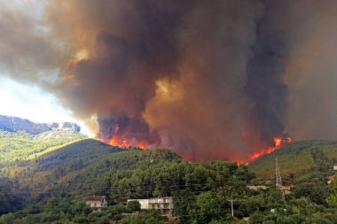 Orman ve köy yanan orman yangını