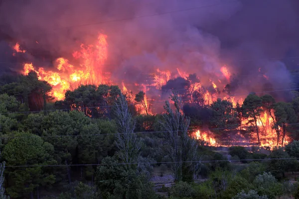 森と村を燃焼野火 — ストック写真