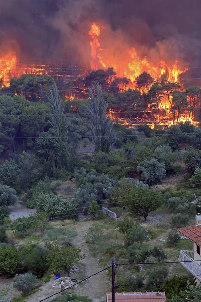 Orman ve köy yanan orman yangını — Stok fotoğraf