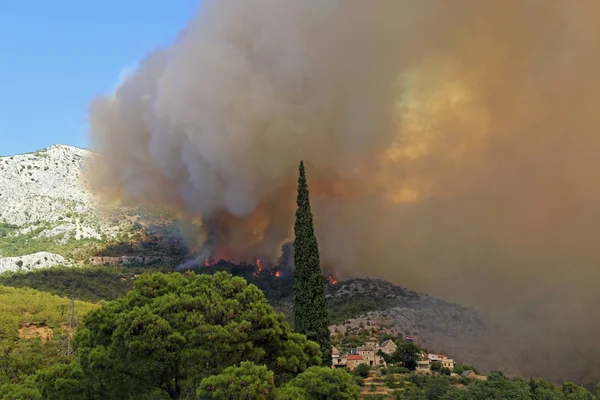 Orman ve köy yanan orman yangını