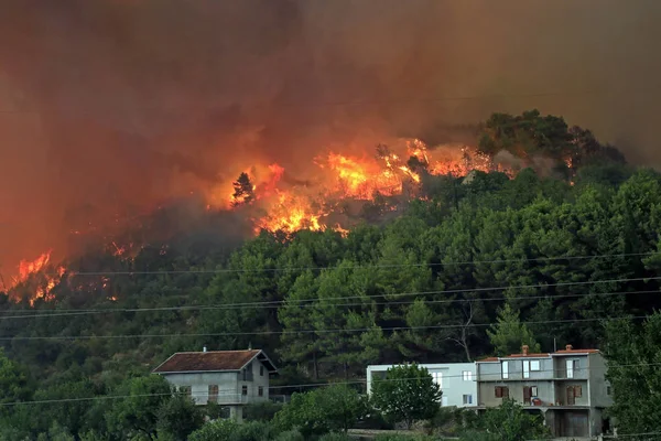 Wildfire bränna ner skogen och byar — Stockfoto