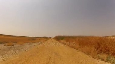 Tozlu yolda sürücü