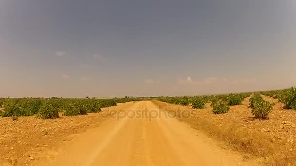 Stoffige weg wijngaard station — Stockvideo