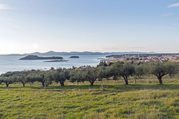Pakostane adalar üzerinde olive Grove'dan görüntülemek