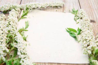 İlk çiçeği. Beyaz çiçekler ve vintage kağıt üzerinde eski ahşap bahar