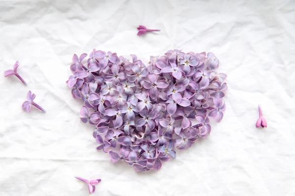 라일락 꽃의 마음을 만든 — 스톡 사진