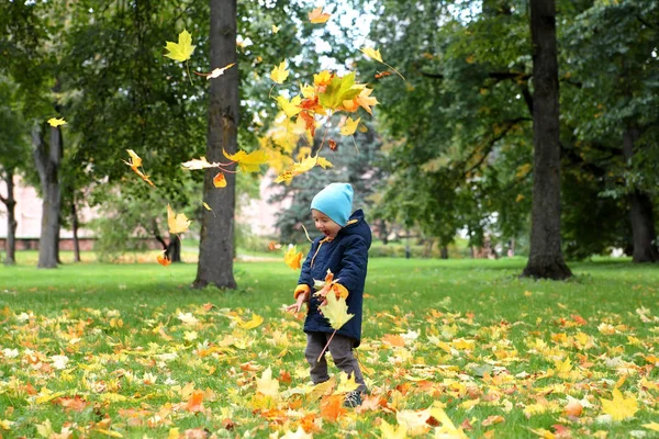 Garçon jetant des feuilles d'automne dans le parc . — Photo