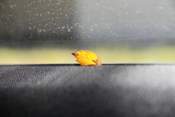 Feuille d'automne jaune dans la fenêtre de la voiture.Automne partout . — Photo