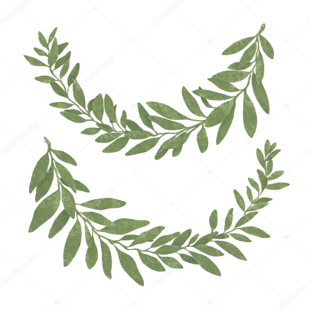 Hand drawn bay leaf wreath isolated on white background.Pastel t