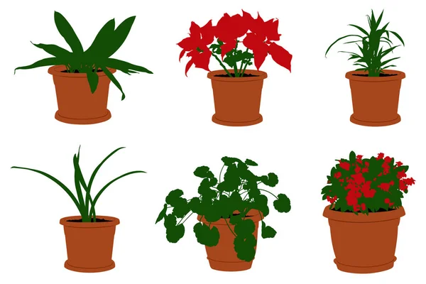 Set Different Flowers Pots Isolated White — Stock Vector