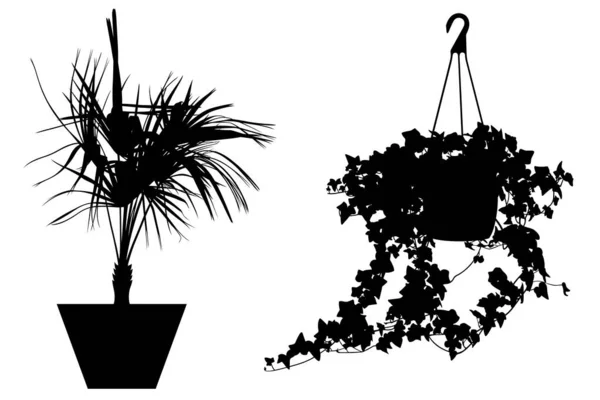 Ilustração Flores Diferentes Vasos Isolados Branco — Vetor de Stock