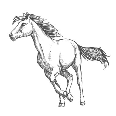 White horse serbestçe çalışan robot resim portre