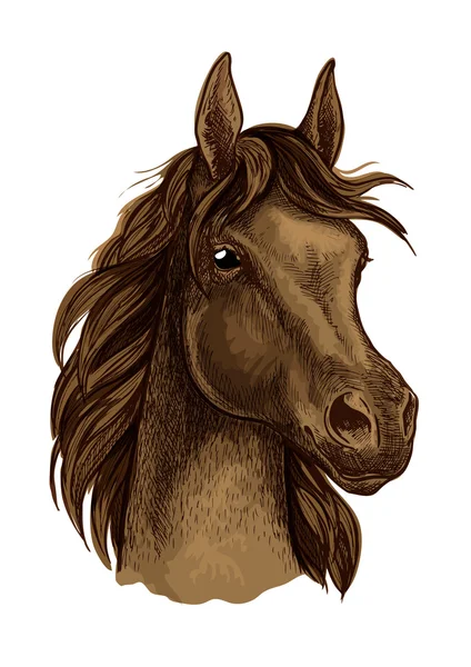 Brown mustang horse artistic portrait — Stock Vector