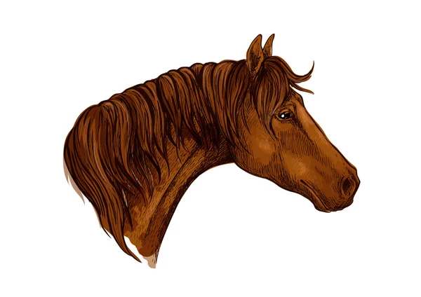 Brown gracioso cavalo vetor retrato —  Vetores de Stock
