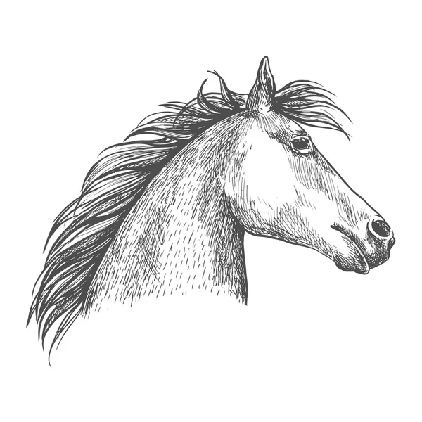 Artistic horse head sketch portrait — Stock Vector