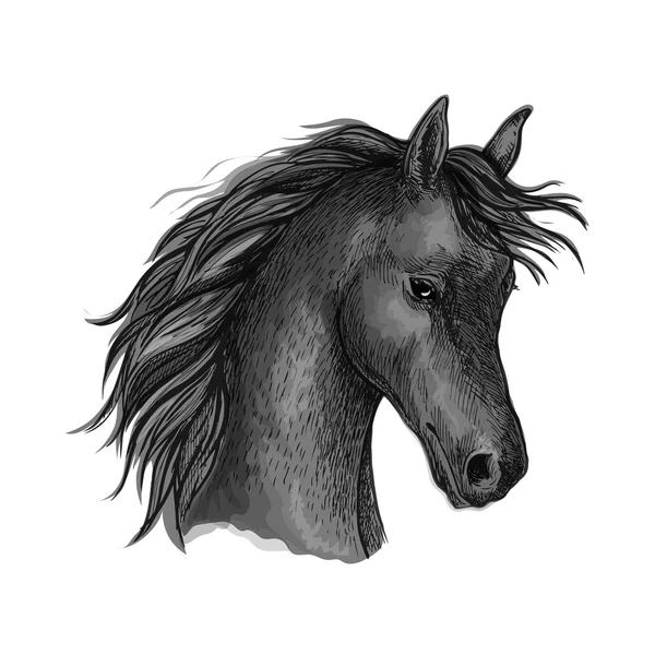 Black horse head sketch portrait — Stock Vector