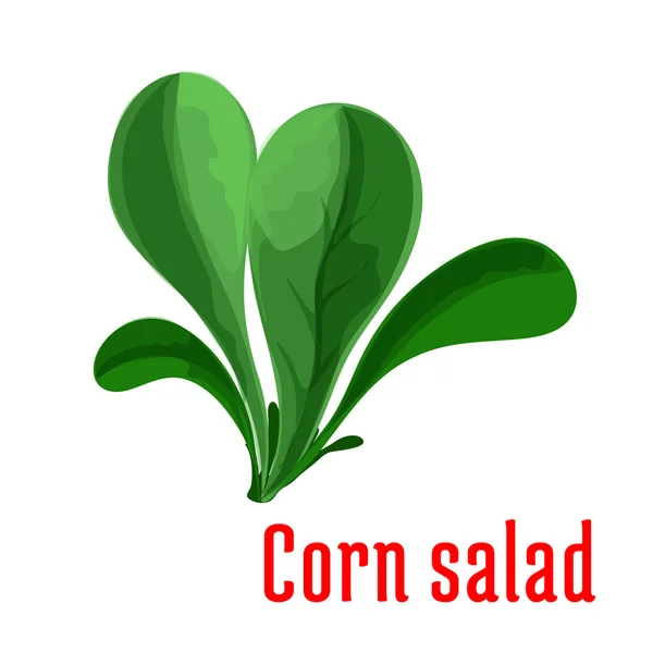 Kukuřičný salát tmavě zelených listů ikona, kreslený styl — Stockový vektor