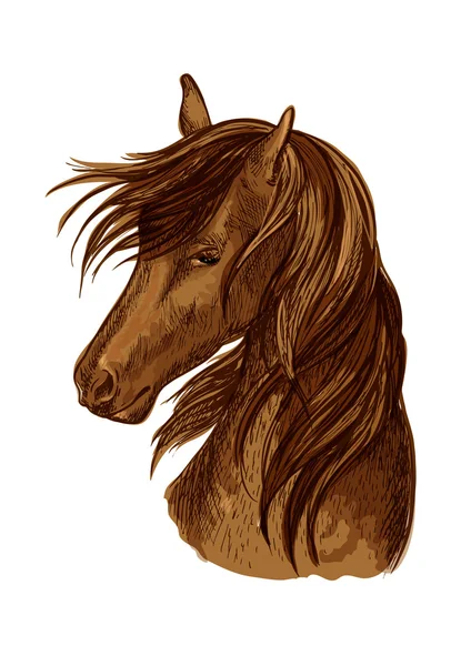 Sketch cabeça de cavalo de cavalo marrom — Vetor de Stock