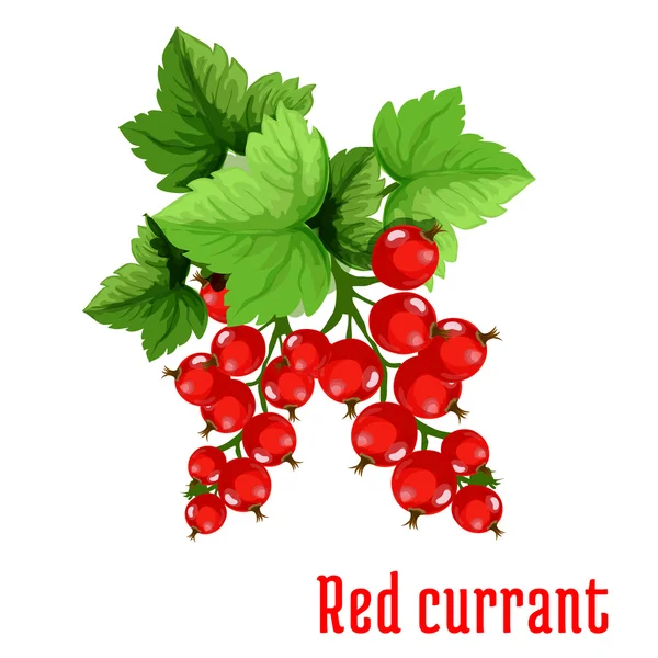 Κόκκινη σταφίδα εικονίδιο καρτούν φρούτων — Διανυσματικό Αρχείο