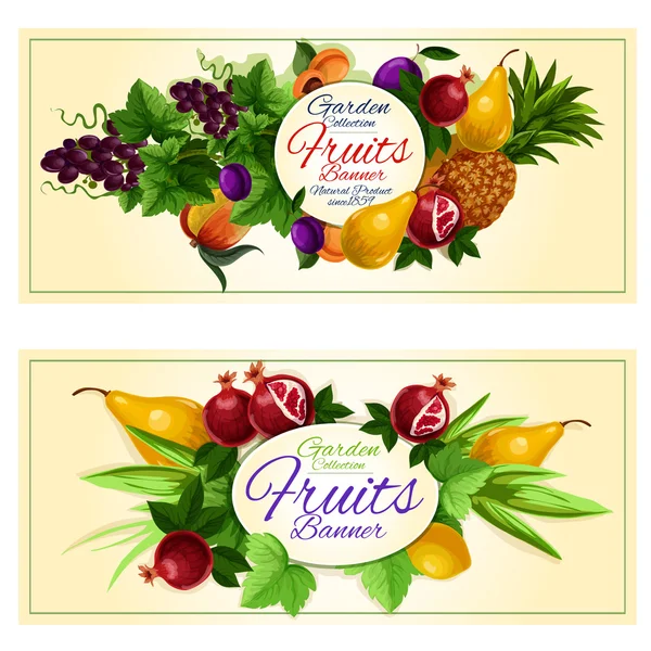 Garden collection fruits — Stock Vector