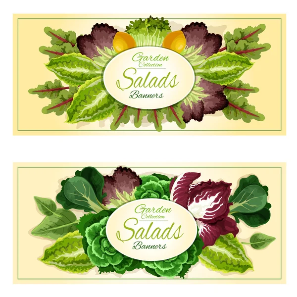Vegetable leaves banners set — Stock Vector