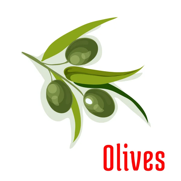 Ramo di ulivo con icona vegetale di olive — Vettoriale Stock