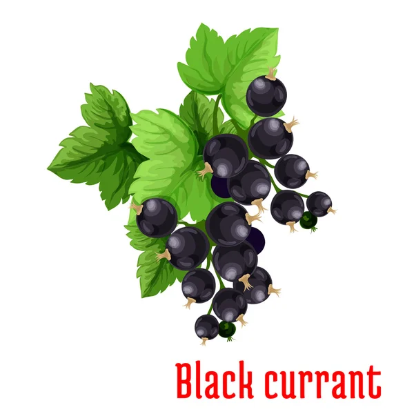 Векторная икона черной смородины — стоковый вектор