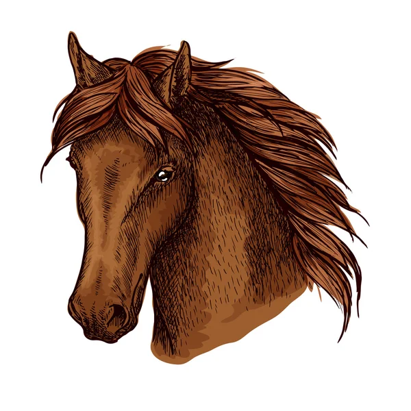 Brown gracioso cavalo vetor retrato —  Vetores de Stock
