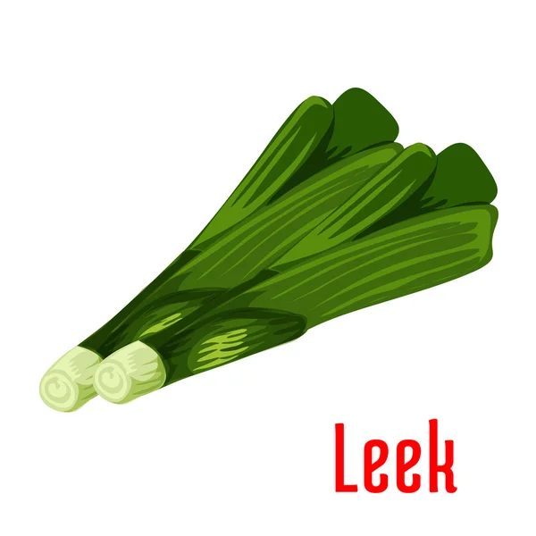 Ikona rośliny roślinnej Leek — Wektor stockowy