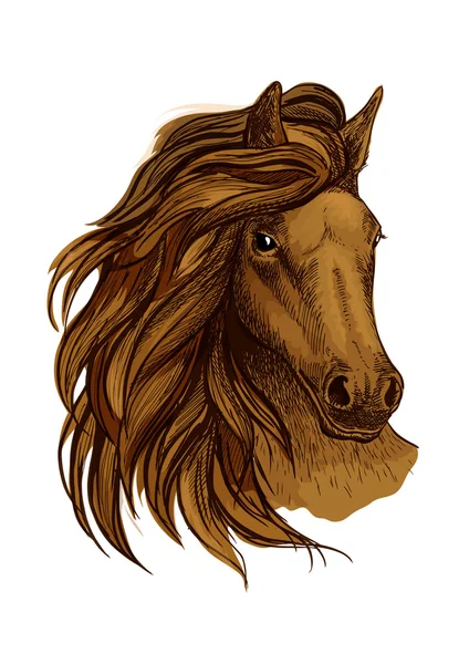 Retrato de cavalo marrom árabe —  Vetores de Stock