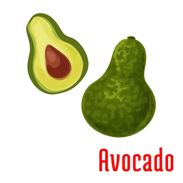 Значок вектора цвета фруктов авокадо — стоковый вектор