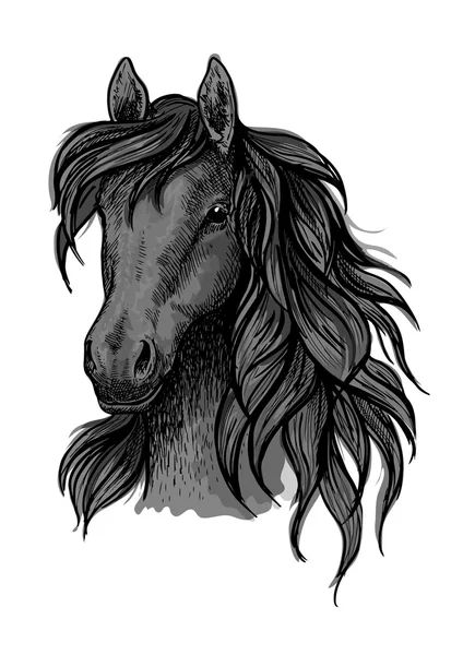 Cabeza de caballo negro retrato bosquejo — Vector de stock