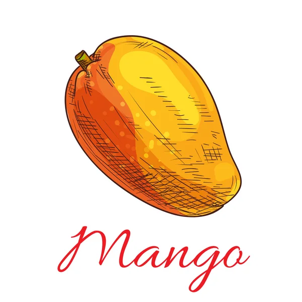 Μάνγκο φρούτο διανυσματικό χρώμα σκίτσο εικονίδιο — Διανυσματικό Αρχείο