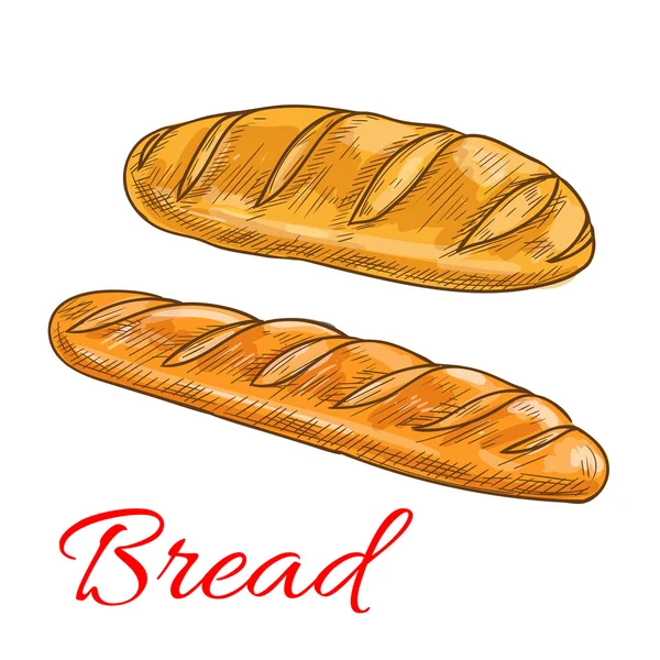 パン小麦ローフとバゲットスケッチアイコン — ストックベクタ
