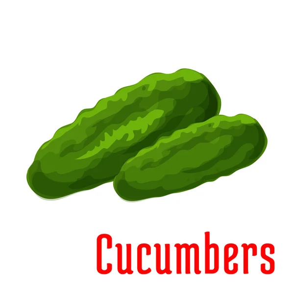 Cucumber vegetable vector icon — Stock Vector