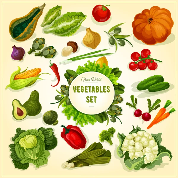 Плакат органічних свіжих овочів і трав — стоковий вектор