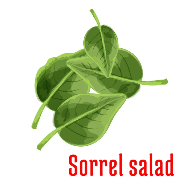 Salade d'oseille fraîche légume feuilles vertes icône — Image vectorielle