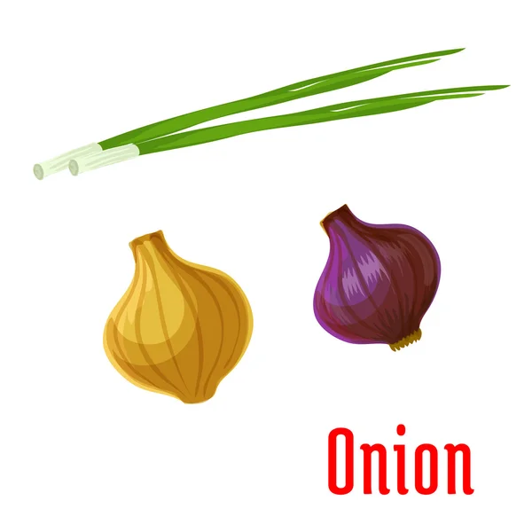 Vegetales de cebolla con hojas verdes brotadas icono — Vector de stock