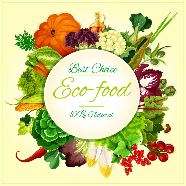 Öko-Lebensmittel, Bio-Gemüse und -Obst — Stockvektor