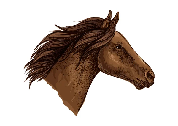Brown horse head isolated sketch — Stock Vector